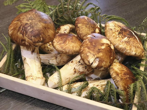 Check Out This List of Top 11 Foods That Will Put A Dent in Your Bank Balance!