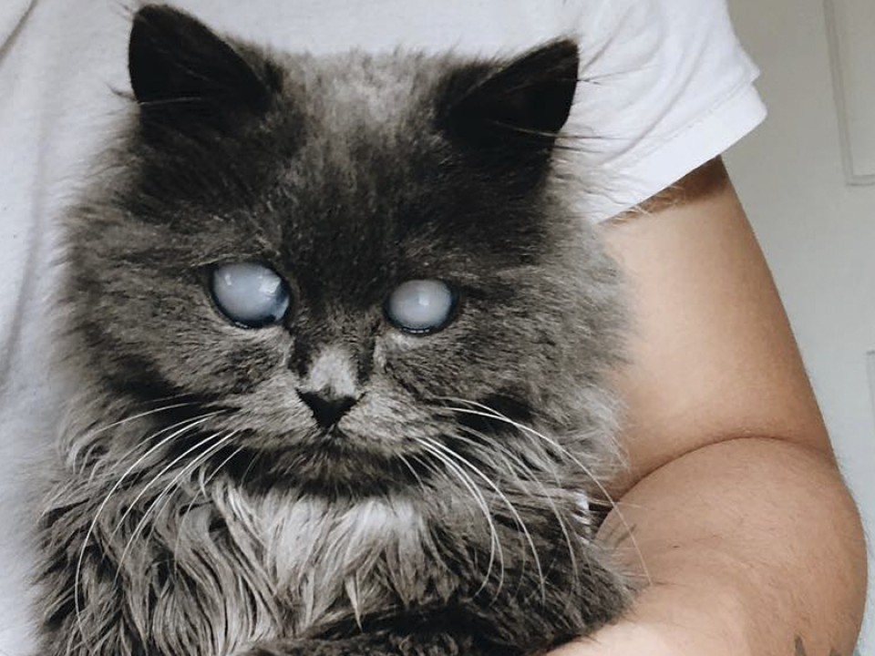 Your Daily Dose of Good Mood – Pictures That Will Improve Your Day In A Second