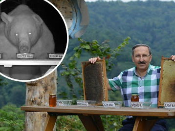 This Bee Farm Owner Has the Best and Most Unusual Honey Tasters! Read to Find Out More