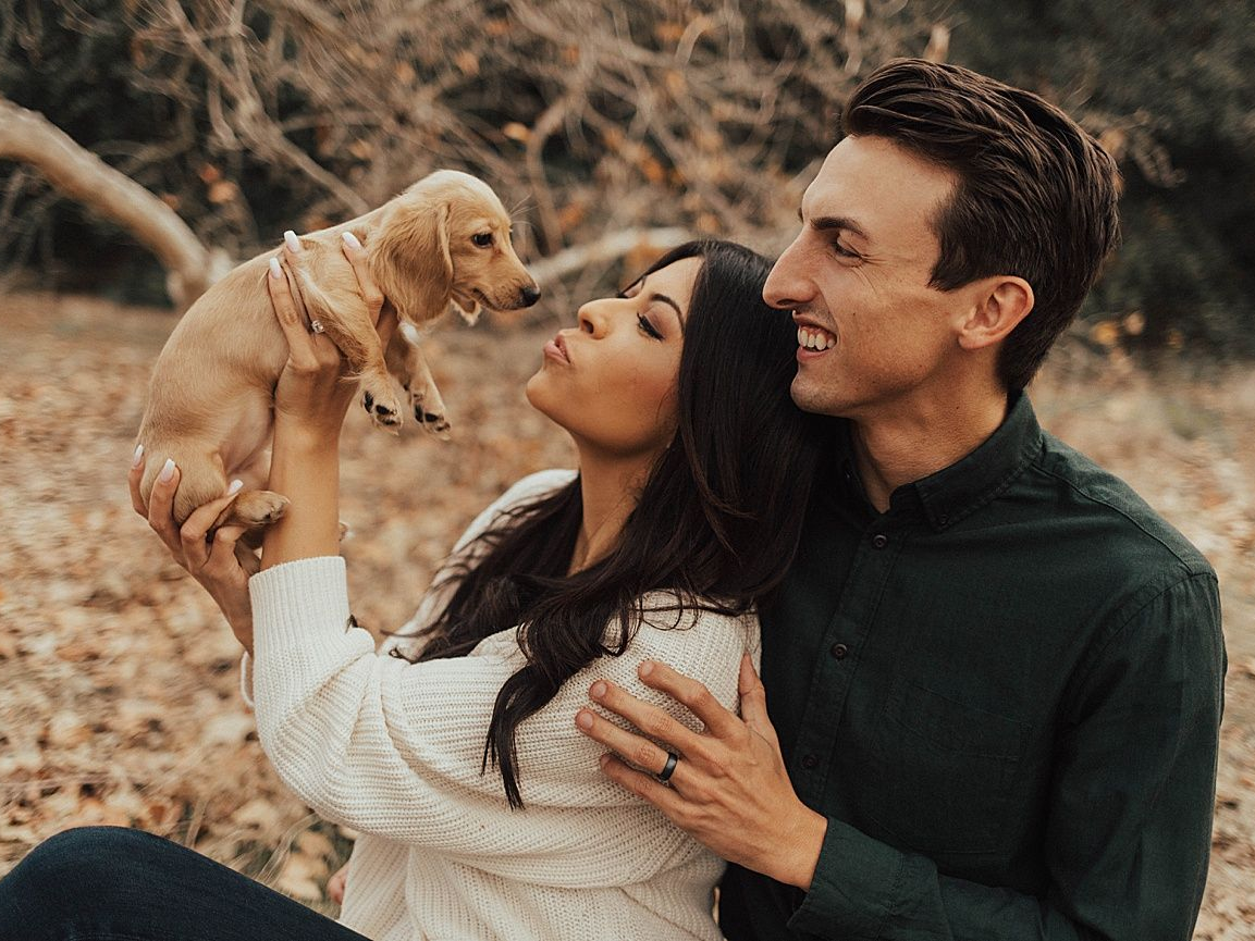 Best Pets To Have If You Are Allergic To Them