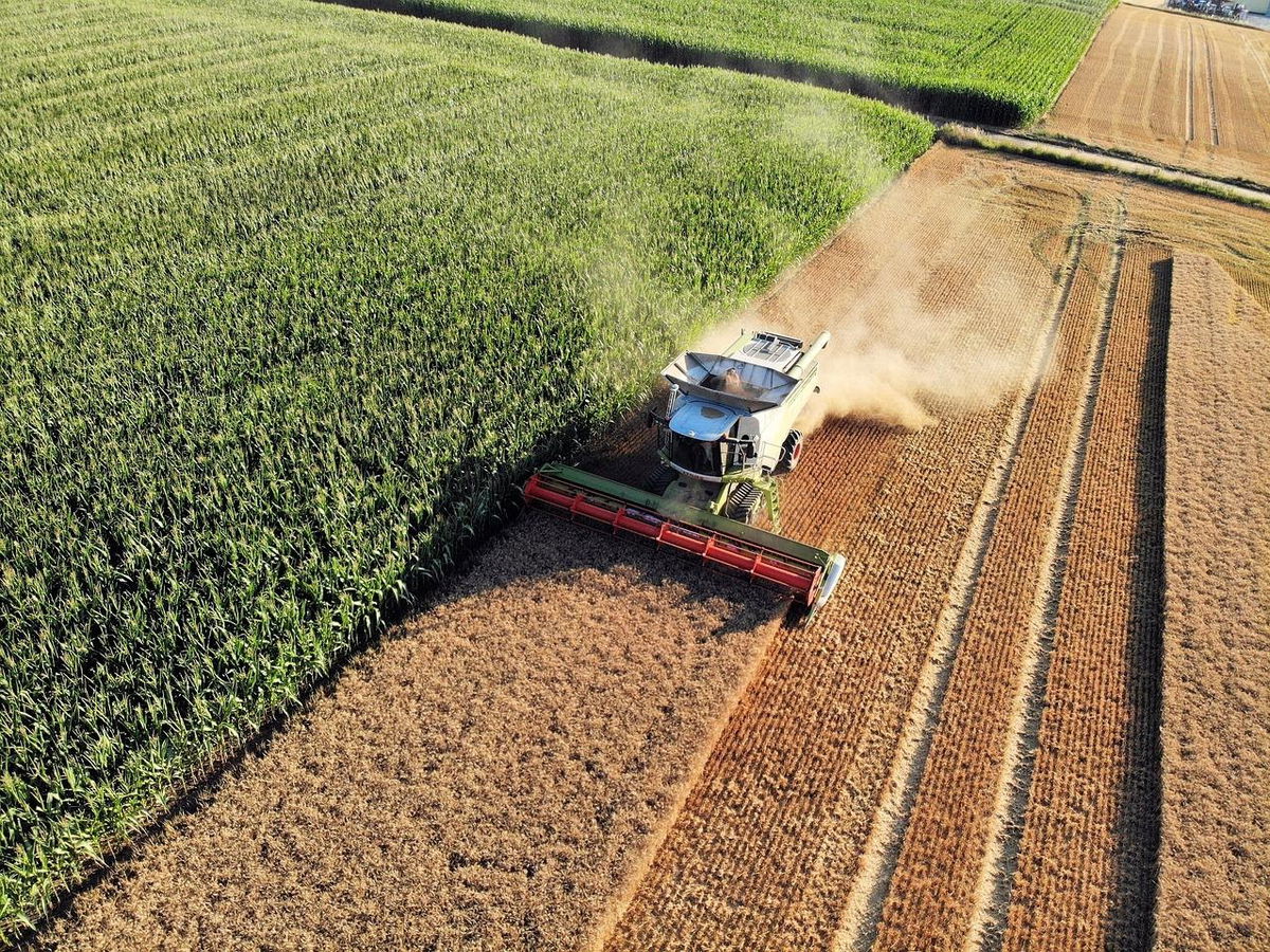 15 Things That Won’t Be Around By 2040