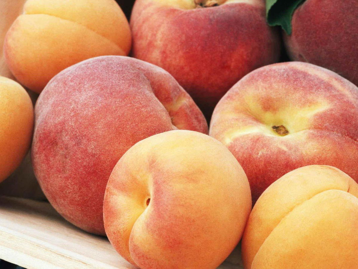 We Can Uncover Your Best Personality Traits Based On Your Favourite Fruits!