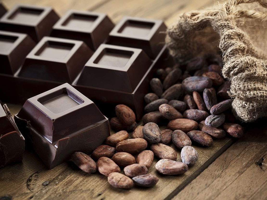 3 Honest And Important Reasons Why You Should Eat Chocolate Everyday