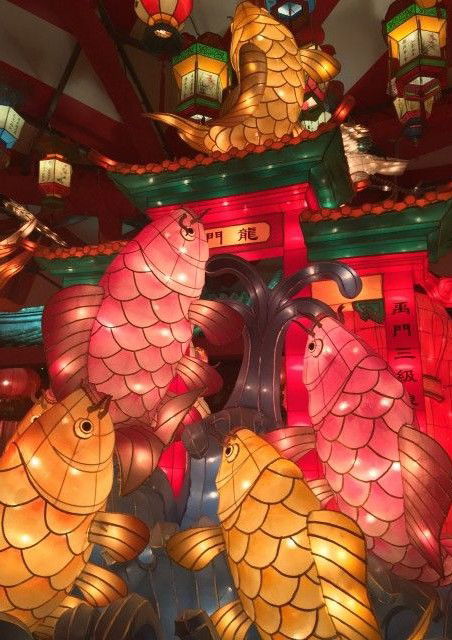 Chinese Lantern Festival 2020, Light, Lighting, Organism, Architecture