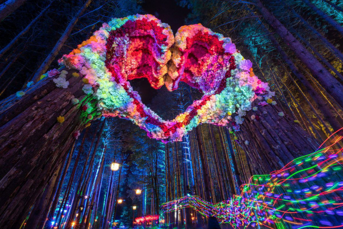 Electric Forest, Nature, Purple