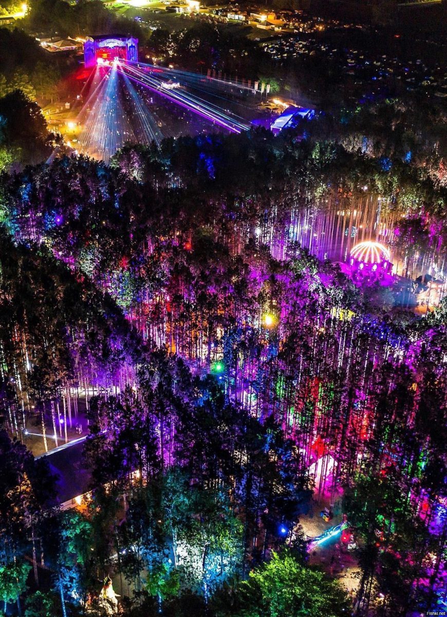 Electric Forest, Purple, Light, Entertainment, Christmas decoration