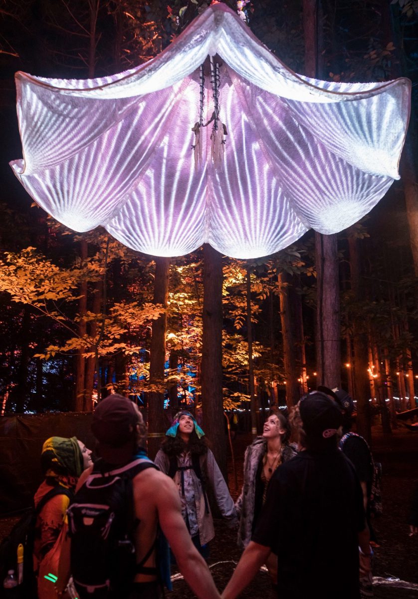 Stage, Photograph, World, Light, Purple, Decoration, Fashion, Lighting, Tree, Crowd, Fun