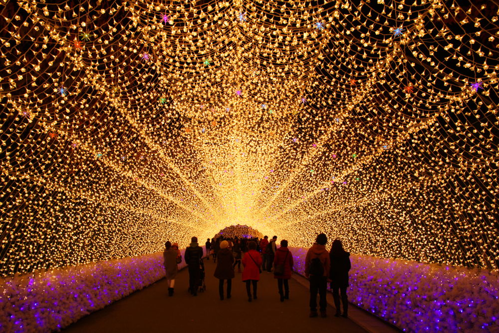 Light, Water, Vertebrate, Sky, Architecture, Mammal, People in nature