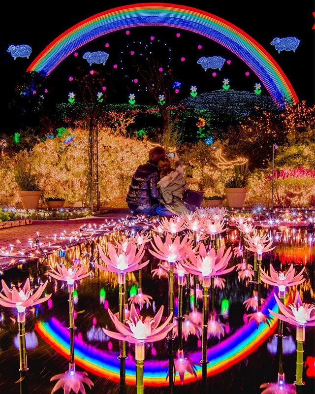 Ashikaga Flower Park Illumination Japan, Light, Purple, Rainbow