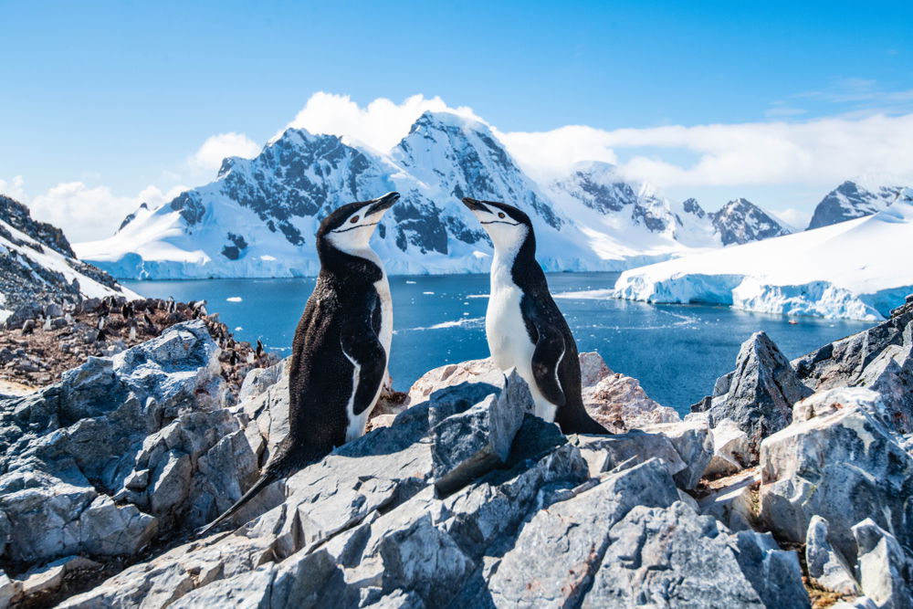 Antarctica Nature, Mountain, Sky, Snow, Cloud, World, Natural landscape