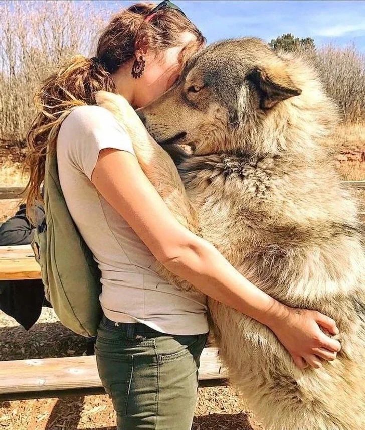 Lobo Abraçando, Jeans, Sky, Photograph, Camel, Working animal, Gesture