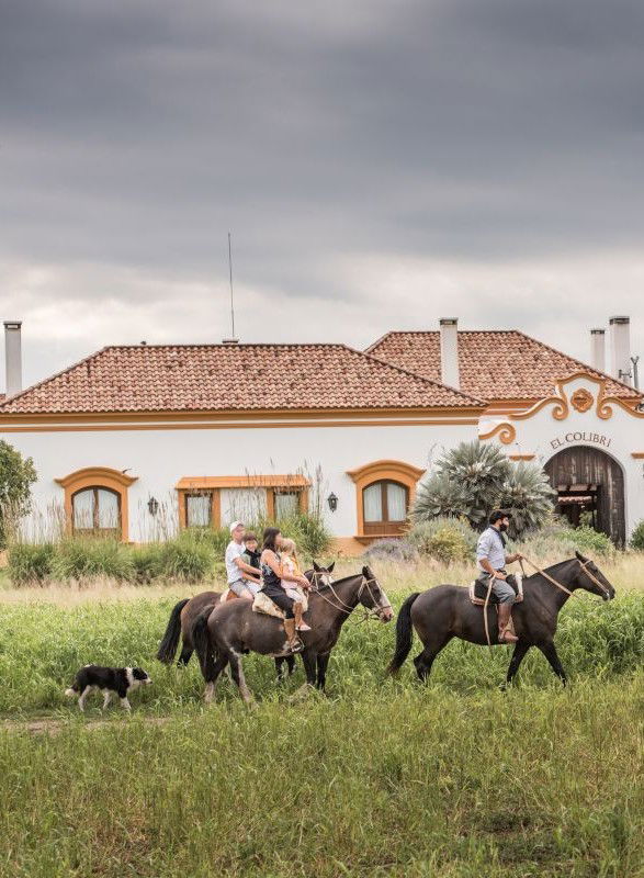 Pasture, Horse, Cloud, Sky, Plant, Ecoregion, Building, Working animal