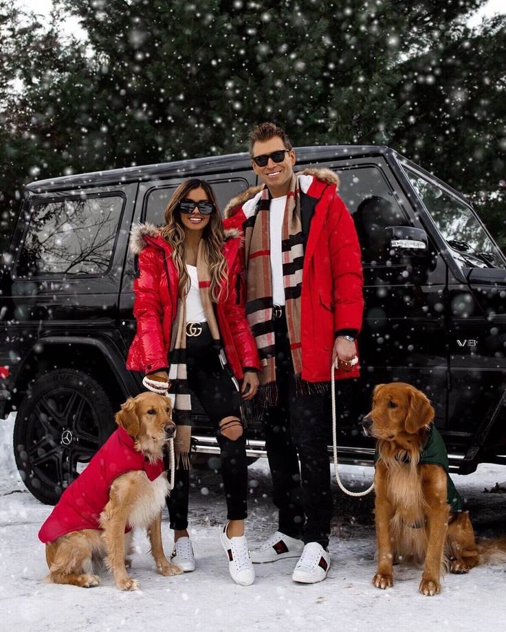 Matching Burberry Couple Outfits, Dog, Vertebrate, Snow, Dog breed, Carnivore, Wheel, Mammal, Tire