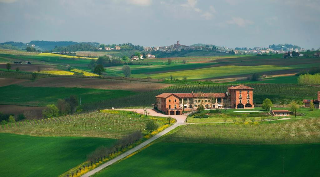 Tenuta Montemagno, Sky, Cloud, Plant, Nature, Natural landscape, Tree, Land lot