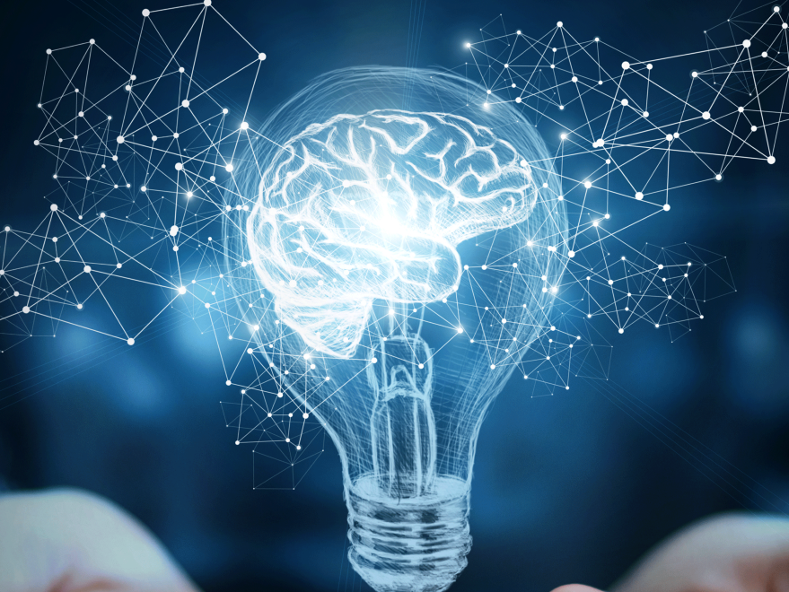 ¿Sabes qué es en realidad la inteligencia? 