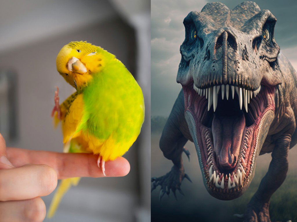 8 Animals With Surprisingly Common Ancestry 
