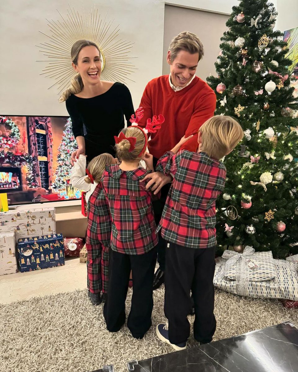 Christmas, Christmas tree, Tartan, Standing, Plant