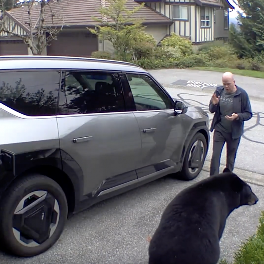 Insane Bear Encounter Caught on Camera——Wait Until You See the Shocking Twist at the End!