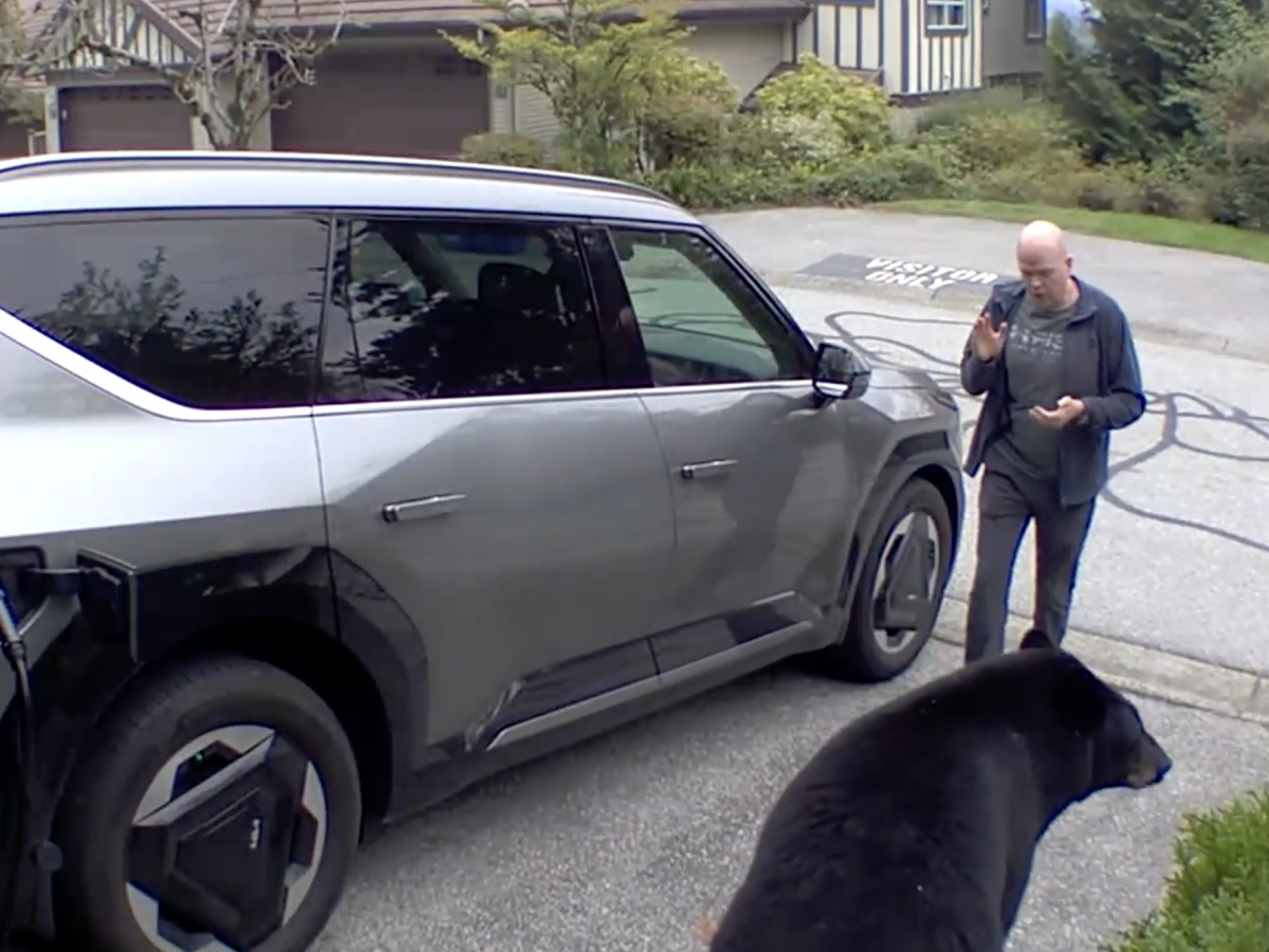 Insane Bear Encounter Caught on Camera——Wait Until You See the Shocking Twist at the End!