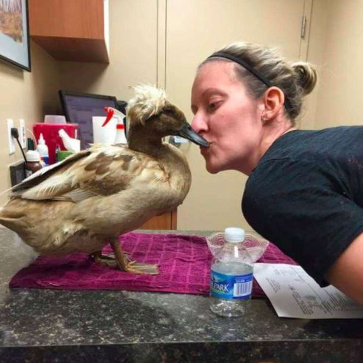 In Need of an Emotional Support Animal? Here are 10 Outside the Box Ideas!