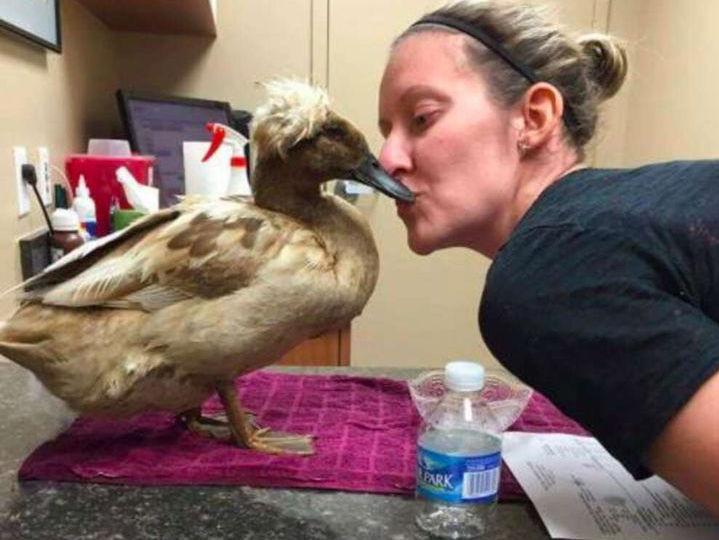 In Need of an Emotional Support Animal? Here are 10 Outside the Box Ideas!
