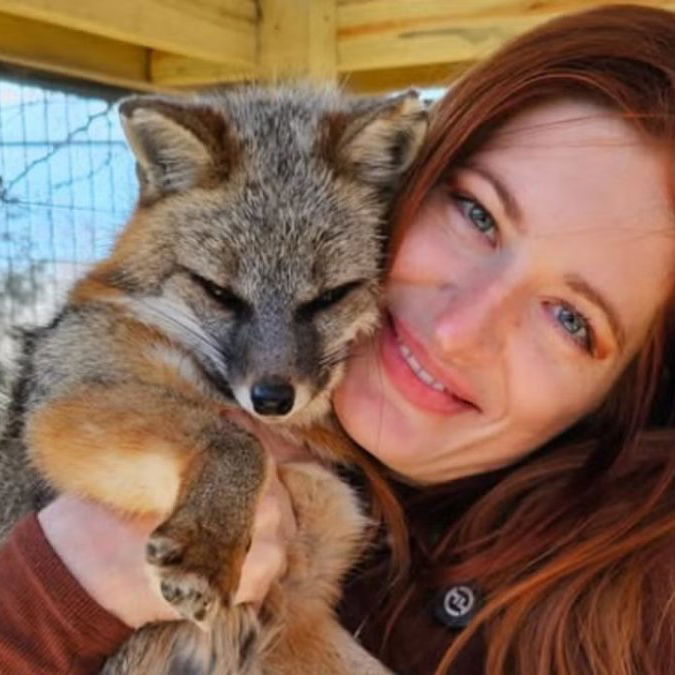 A Internet le encantaba verla rescatar zorros… hasta los ataques que le quitaron la vida
