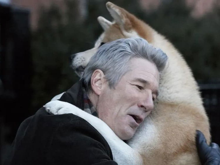 10 Sad Movies That Will Make You Hug Your Dog