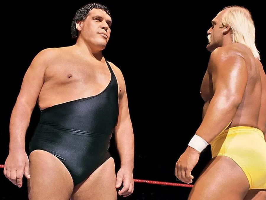 Wrestling Legends of the 1980s: The Fascinating Stories Behind the Superstars