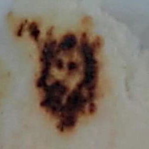 A Burn Mark on a Tortilla Changed Their Lives Forever